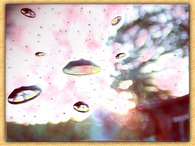 Saucers