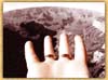 GrandHand