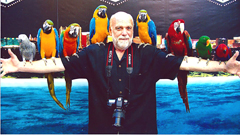Kevin and Parrots
