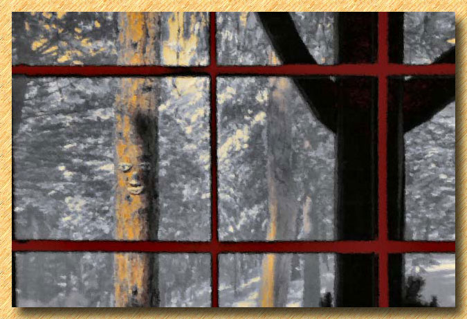 Pines