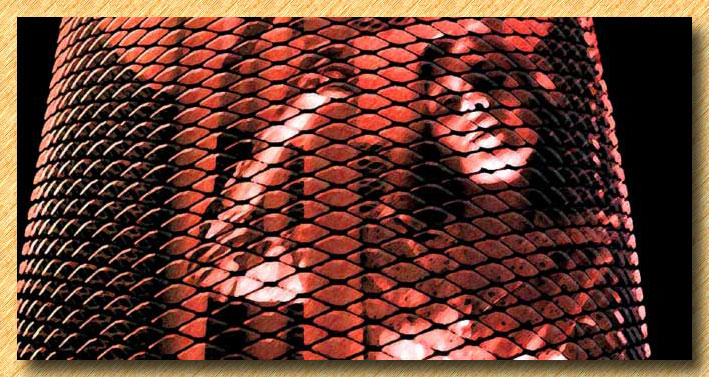 Caged in Flagstaff, AZ