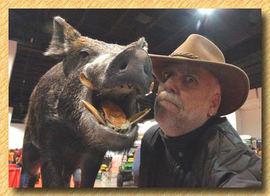 Wild Pigs