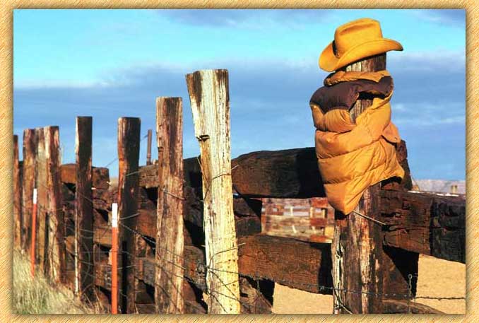 Fence Line