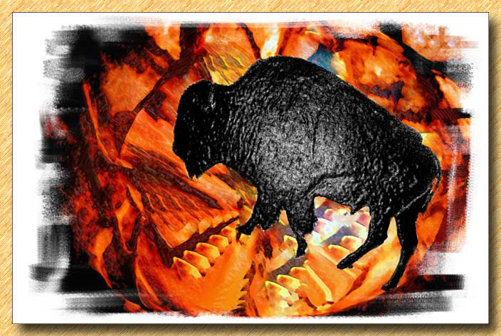 Buffalo