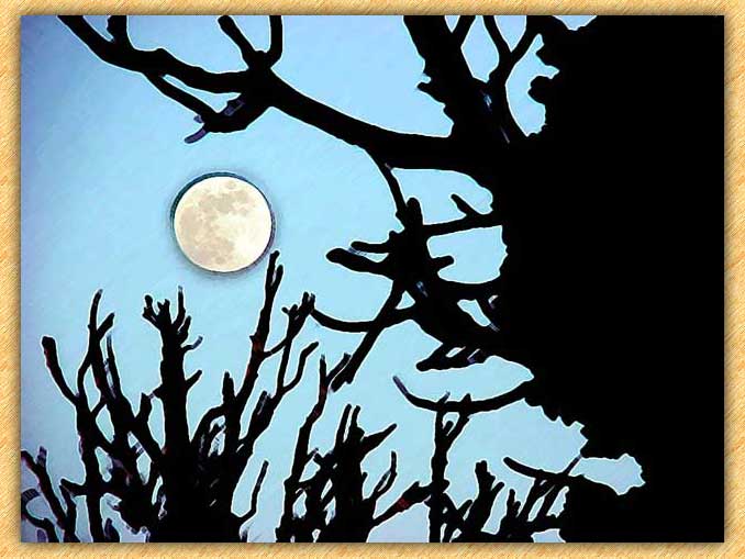 Moonrise