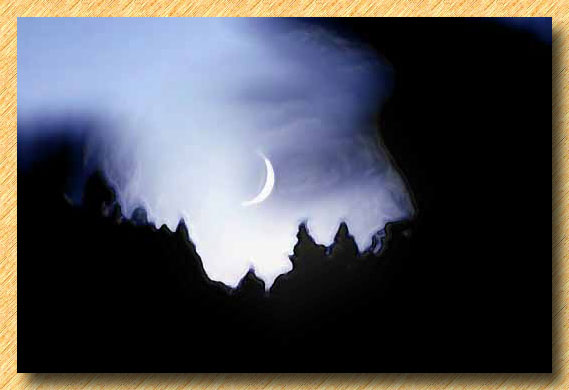 Ponderosa Moon