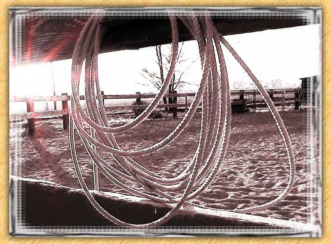 Lasso